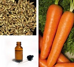Моркови семян эфирное масло (Carrot Seed Essential Oil)