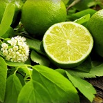 Лайм эфирное масло (Lime Essential Oil)