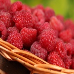 Сверхкритический CO2 экстракт малины ягоды (Витамин Е, % не менее 1%,Терпены и терпеноиды, % 6, флавоноиды 2%)