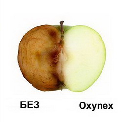 Oxynex  (Оксинекс) 2004 (против окисления крема)