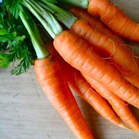 Моркови экстракт глицериновый