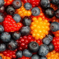 Wild berries - дикие ягоды